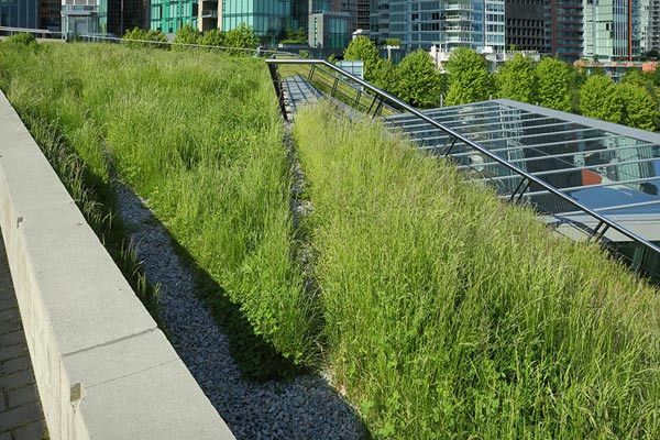 an_Designing For Health.jpg